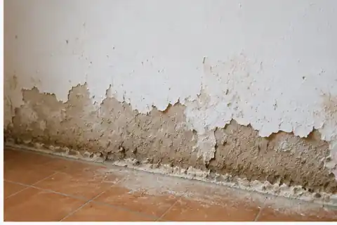 Rising damp with crumbling plaster near floor level
