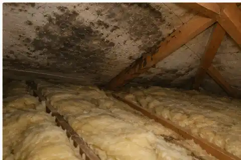 Hidden roof leak affecting insulation and timber