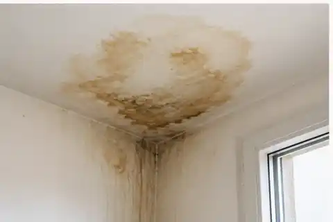 Brown water infiltration stain on an interior ceiling